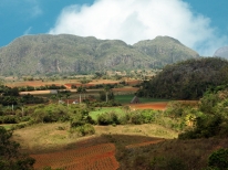 Viñales