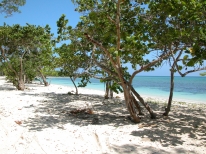 Playa Yuraguanal