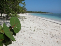 Playa Yuraguanal