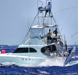 72 Torneo Internacional de Pesca de la Aguja 