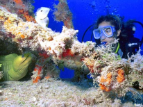 Bajo el azul (Buceo desde barco): b