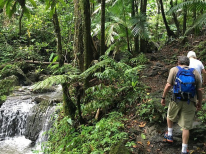 Excursión de escalada el Yunque: yunque