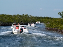 Safari a Cayo Blanco: Seafari