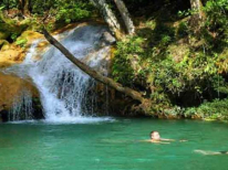 Excursión a el Nicho: bicho