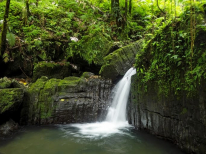 Excursión de escalada el Yunque: yunque