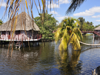 Tour de aventura por el río Hatiguanico y Guamá: guamá