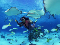 Bajo el azul (Buceo desde barco): buceo