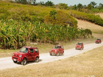 JEEP SAFARI CUEVAS DE MATANZAS : Jeep Safari